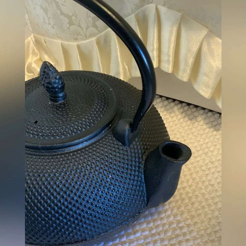 IKENAGA NAMBU IRON KETTLE